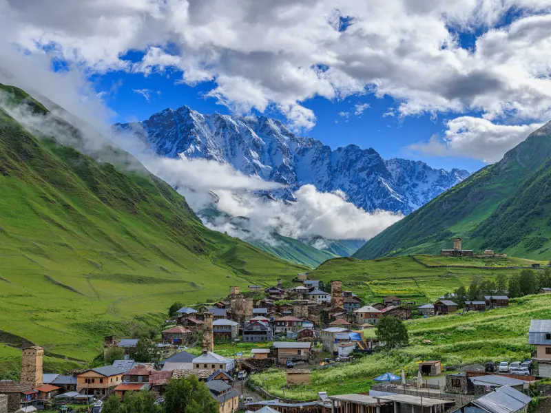 Georgia Mountain Escape